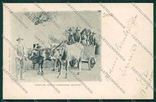 Siena City Costumes Ox Car