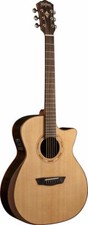 Washburn wcg20sce g20 sce - washburn,