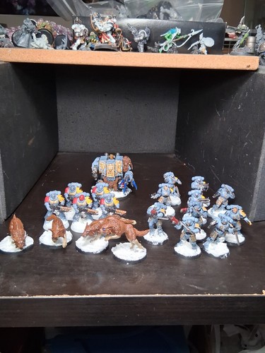 Lotto lupi spaziali warhammer - spaziali,