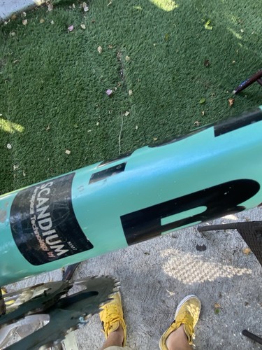 Bianchi bike - bianchi,