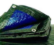 TELO CHEAP CON OCCHIOLI 2,80X5,80mt COPERTURA PISCINE-LEGNA-AUTO-NAUTICA