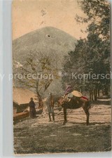 Nikko Cnusenij Road con cavaliere