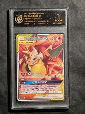 POKEMON - CHARIZARD & BRAIXEN