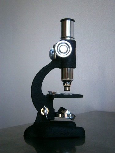 Piccolo microscopio studio - microscopio,