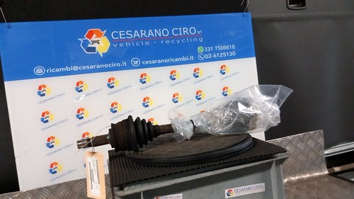Semialbero ant 46477176 - ant., sx.