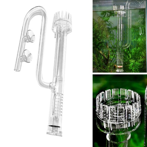 Skimmer superficie acqua