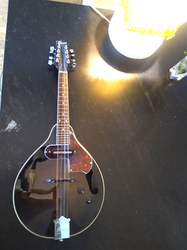 Ibanez style mandolino - ibanez,