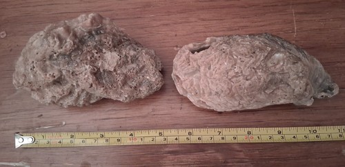 Decorazione naturale per