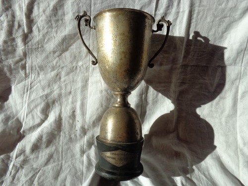 Trofeo coppa premio - coppa,