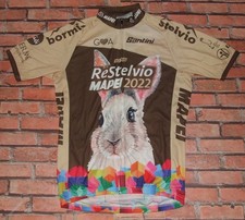 RE STELVIO MAPEI SANTINI