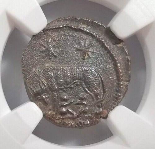 Gemelli lupo costantino ngc - gemelli,
