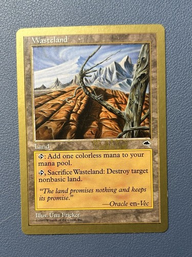 Mtg wasteland land - wasteland,