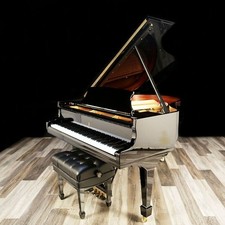 Pianoforte coda steinway - pianoforte,