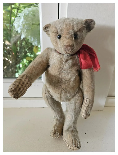 1908 steiff white - steiff, teddy