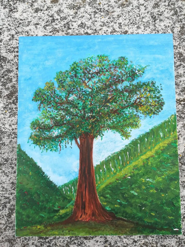 Tronconi grande albero - grande,
