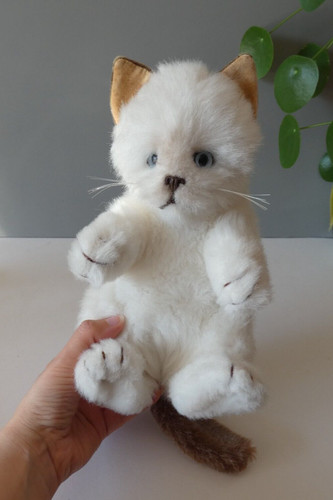 Peluche ragdoll gatto gattino - ragdoll,