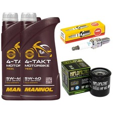 Kit Revisione Olio 2L Candela