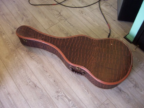 Custodia per chitarra vintage