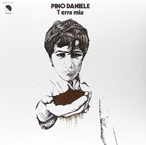 Terra mia pino daniele lp - terra,