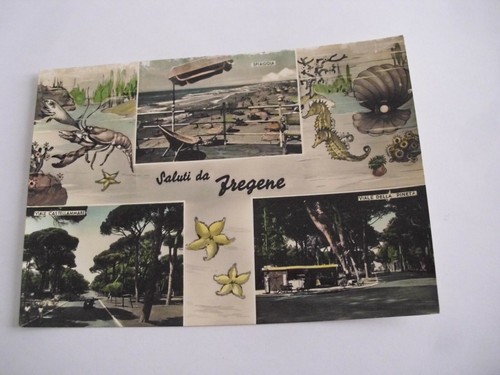 Roma saluti fregene - -,