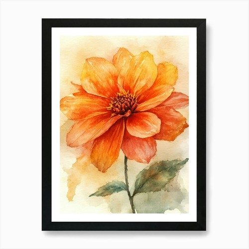 Acquerello dalia flower - acquerello,