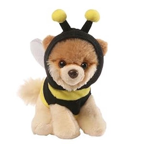 Boo the world cutest dog - boo,