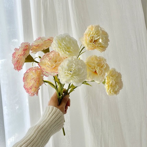 Bouquet seta garofani - bouquet, di