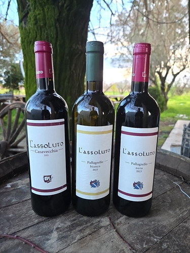 Bottiglie vino assoluto - 3,