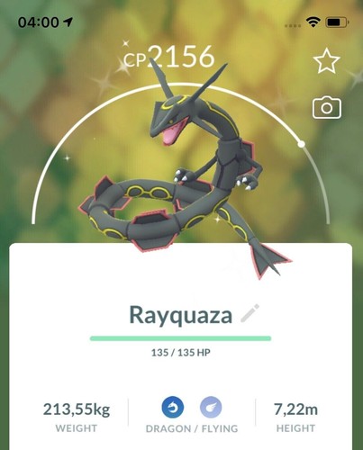 Shiny rayquaza have dragon - have,