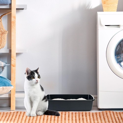 Ferplast lettiera gatto - ferplast,