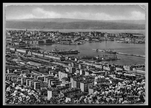 Cartolina trieste - trieste,