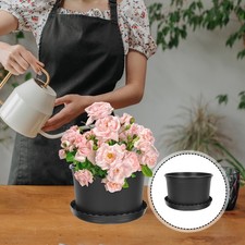  Vasi Da Vivaio Di Rose Cinesi