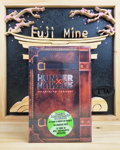 Manga hunter - hunter, x