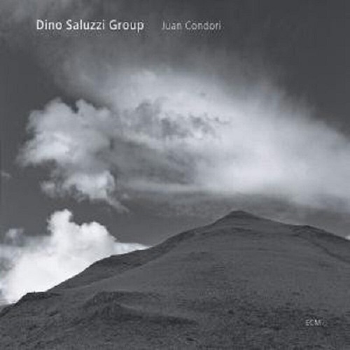 Dino saluzzi group - dino,