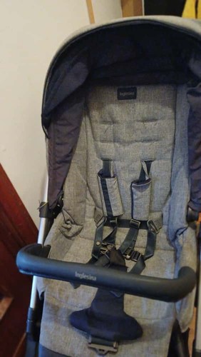 Inglesina aptica system