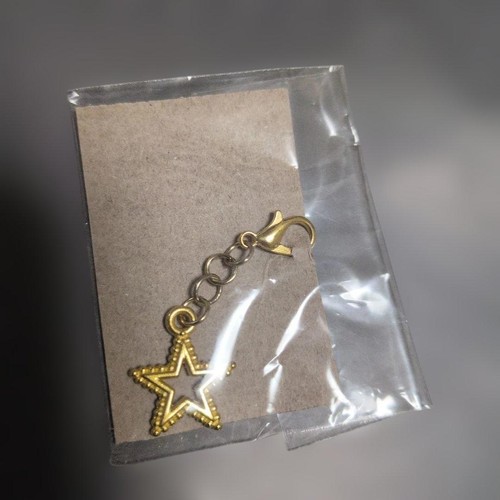 Charm stella oro