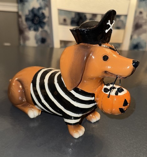 Costume pirata cane bassotto