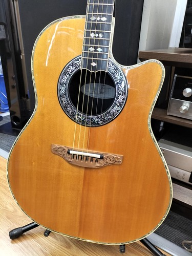 Chitarra elettrica acustica
