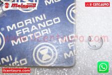 60118700 SEIGER ARRESTO ALBERO