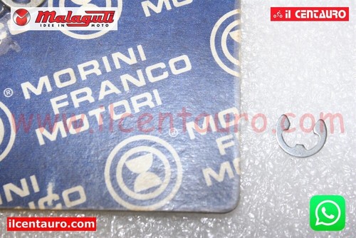 60118700 seiger arresto - seiger, albero