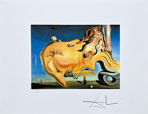 Salvador dalí il grande - -,