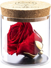 Bijou - Rosa Stabilizzata