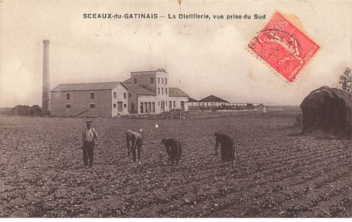 Sceaux gatinais la - sceaux-du-gatinais,