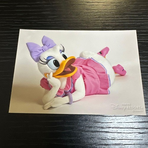 Speciale foto margherita