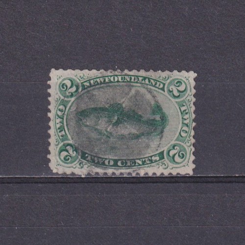 Newfoundland canada 1865 - newfoundland, 1865,