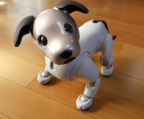 Set completo sony aibo - set,