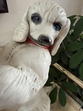 Vintage Poodle White Sitting