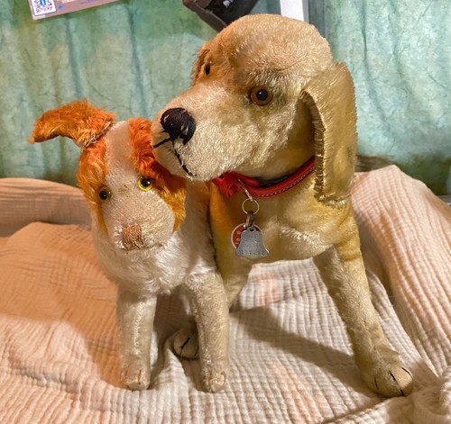 Antique steiff studio - antique, beagle