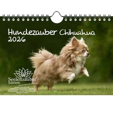Magia per Cani Chihuahua DIN A5 Calendario per 2026 Cuccioli e Cani - Magia dell'Anima