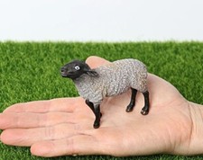 Suffolk Pecora Animale